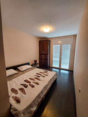 Mihail's apartment